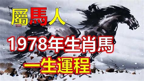 2024屬馬運勢1978|屬馬出生年份/幾多歲？屬馬性格特徵+生肖配對+2024。